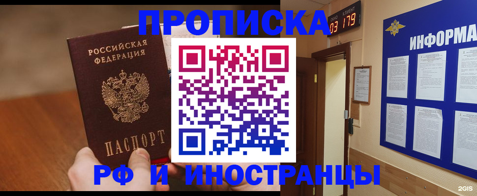 прописка в Курчалом